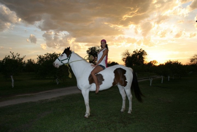 Al atardecer